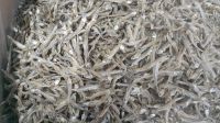 Dried White Anchovy by Sunshine