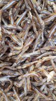 Dried Anchovy
