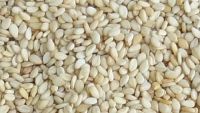 Hulled White Sesame Seed