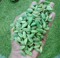 Green Cardamom Seeds