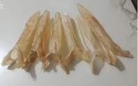 High Quality Fish Maws From Bangladesh