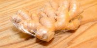 Ginger