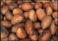 Bitterkola
