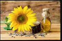 Sunflower Oil