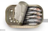 Canned Sardines