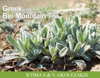 Organic mountain Herbal Tea _ Sideritis