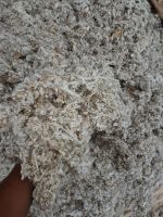 First grade cotton seed hull and cotton seed meal pellet From Benin