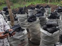 Hardwood Charcoal | Ayin | Shisha | BBQ 