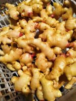 Fresh Ginger