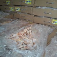 Fresh and Clean Halal Frozen Whole Chicken /Drumsticks/ Thighs/ Paws/ Feet