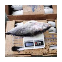 Frozen Fresh Atlantic/Pacific/Horse Mackerel Fish Products