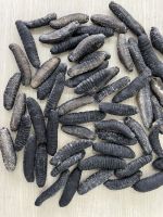 Dried Sea Cucumber