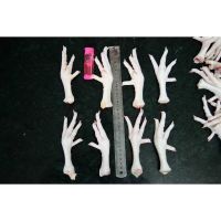 Cheap price frozen chicken feet &amp; paws for sale