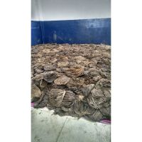 Dried beef omasum stock available now!!