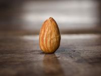 Bulk Almond nuts For Sale