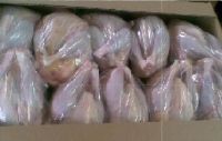 Frozen Whole Chicken for Sale 