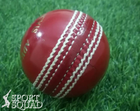 Hand Stitched Leather Cricket Ball