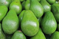 Avocados 