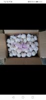 2020 Fresh Normal White Garlic / Red Galic in 10kg/Carton with Different Size -Hot Sale !!!