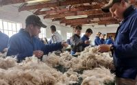 Ã¢ï¿½Â¢	Raw Wool (18-22 Micron) 	Premium Mohair (22-32 Micron)