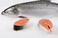 PACIFIC FROZEN SALMON FISH