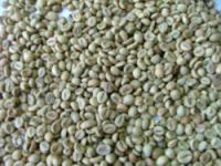 https://cn.tradekey.com/product_view/Export-Coffee-Beans-Coffee-Bean-Importer-Coffee-Beans-Buyer-Buy-Coffee-Beans-Coffee-Bean-Wholesaler-Coffee-Bean-Manufacturer-Best-Coffee-Bean-Exporter-Low-Price-Coffee-Beans-Best-Quality-Coffee-Bean-Coffee-Bean-Supplier-Sell-Coffee-Be-432478.html