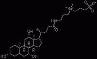 3-((3-Cholamidopropyl)dimethylammonium)-1-propanesulfonate,75621-03-3