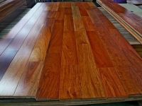 Logs, Timbers, Woodfloorings etc from Thailand 