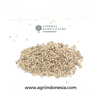 White Pepper Indo...