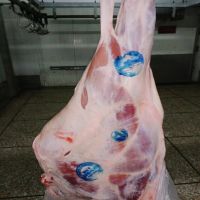 Frozen Chicken, Cow Beef, Buffalo, Lamb, Mutton, Goat, Veal