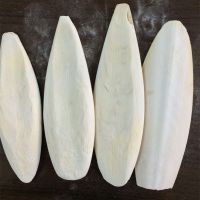 Top Quality Cuttlefish Bone