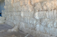 Sisal Fiber Export