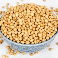 High Quality Non GMO Yellow Soybeans