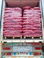 Red Onions â Premium Egyptian Export Quality