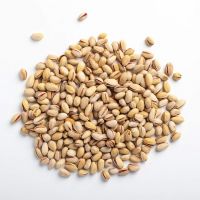 Fresh Quality Whole Raw Kernels Dry