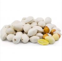 Best Selling Ginkgo Nuts Fresh Raw