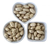 Red Peanut, Blanched Peanut Kernels, Bold PeanutsBlanched Peanuts Java Peanuts/ Raw Peanuts Kernel / Raw Peanut In Shell