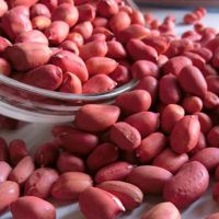 Premium Natural Ground Peanuts High Protein