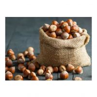 Whole Raw Hazelnuts Cheap Dried Food