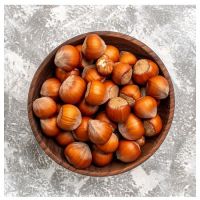 Wholesale Organic Grade Raw Hazelnuts/Hazel