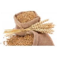 Wheat Bran for Animal Feed Poultry Feed Wheat Bran for Livestock Wheat Bran Rich in Protein Low Price From USA