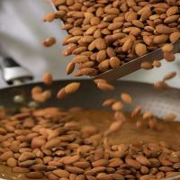 Best Selling Spanish Comuna Almond (Valencia