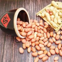 Red Peanut, Blanched Peanut Kernels, Bold