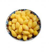 Wholesale Best Price Dried Ginkgo Nuts