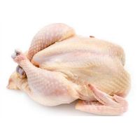 TOP QUALITY HALAL WHOLE FROZEN TURKEY