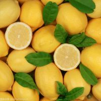 Buy 100% Natural Product Rich Quality