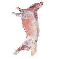 Best Price Frozen Mutton Delicacy Halal