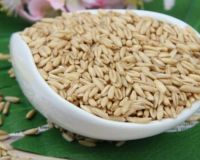 Hot Selling High Quality Hulled Groats Grain Oats