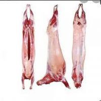 Halal Frozen Lamb Meat /Frozen Lamb