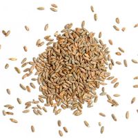 Organic Rye Grains /Organics Certified Organic